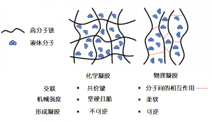 化学凝胶和物理凝胶的区别