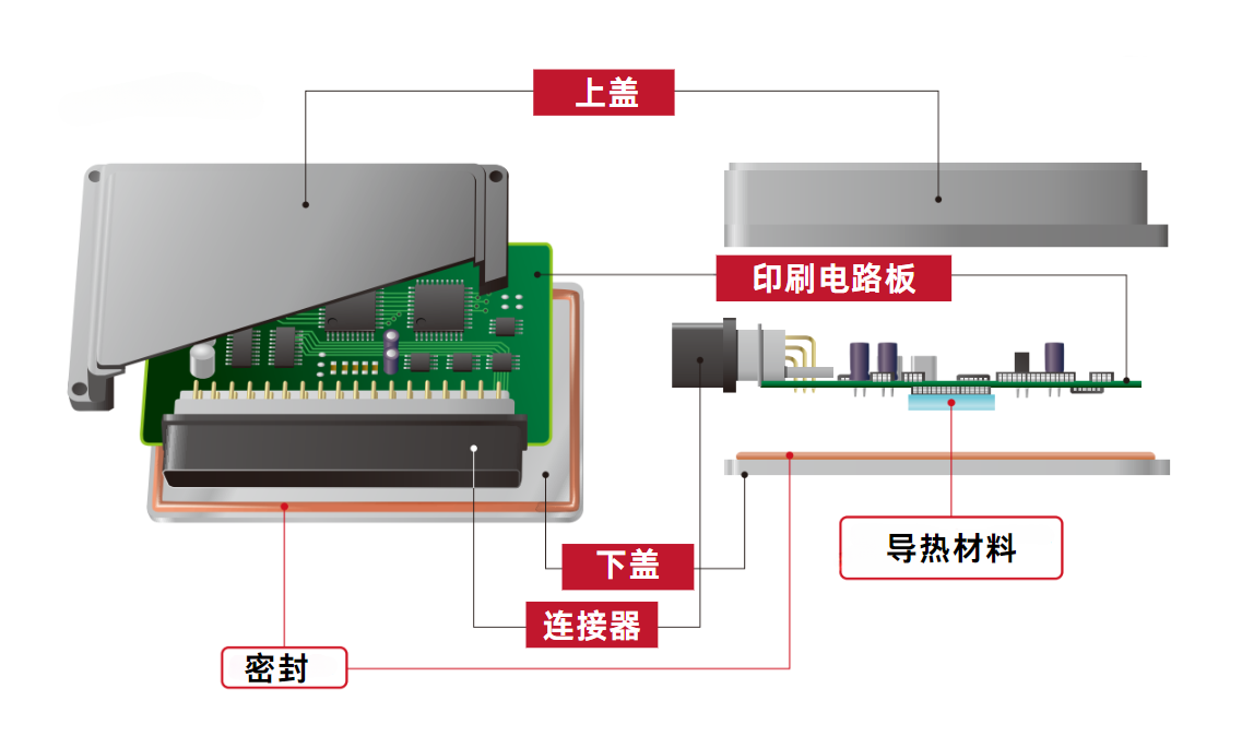 ecu结构图